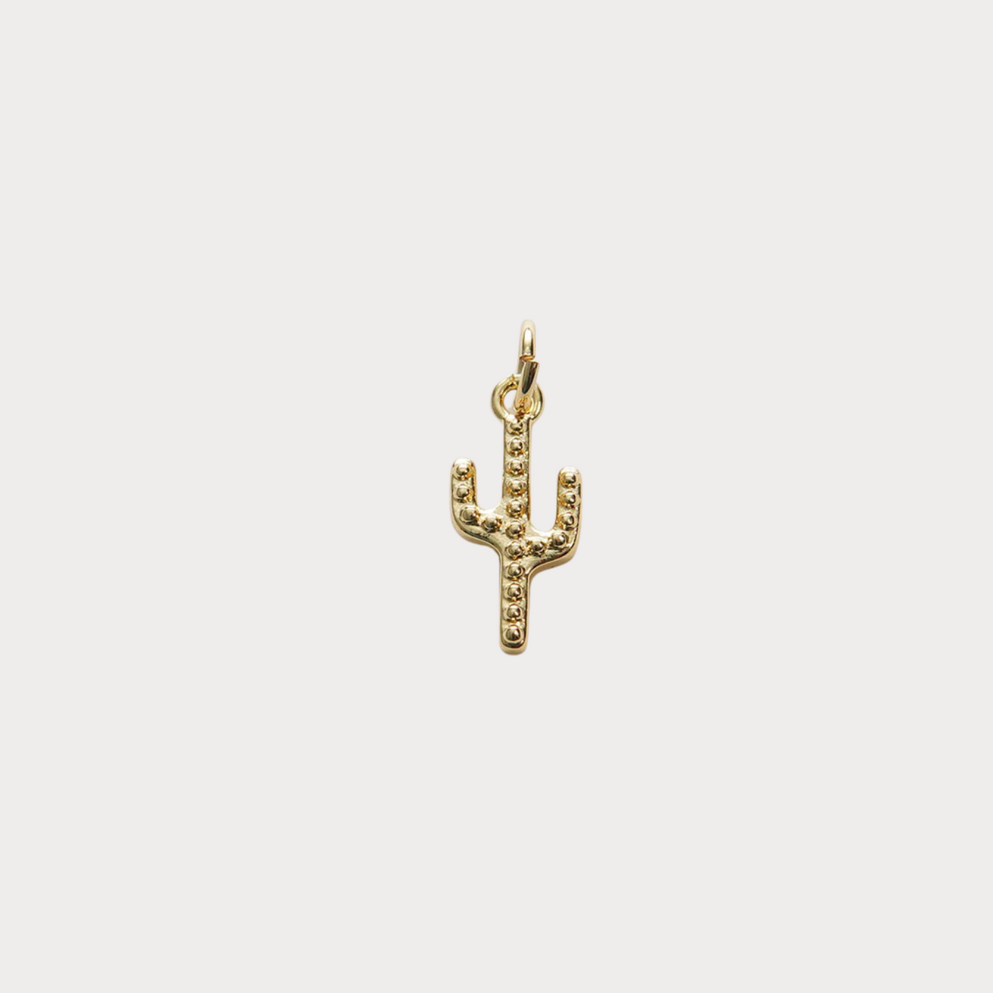 Cactus Charm