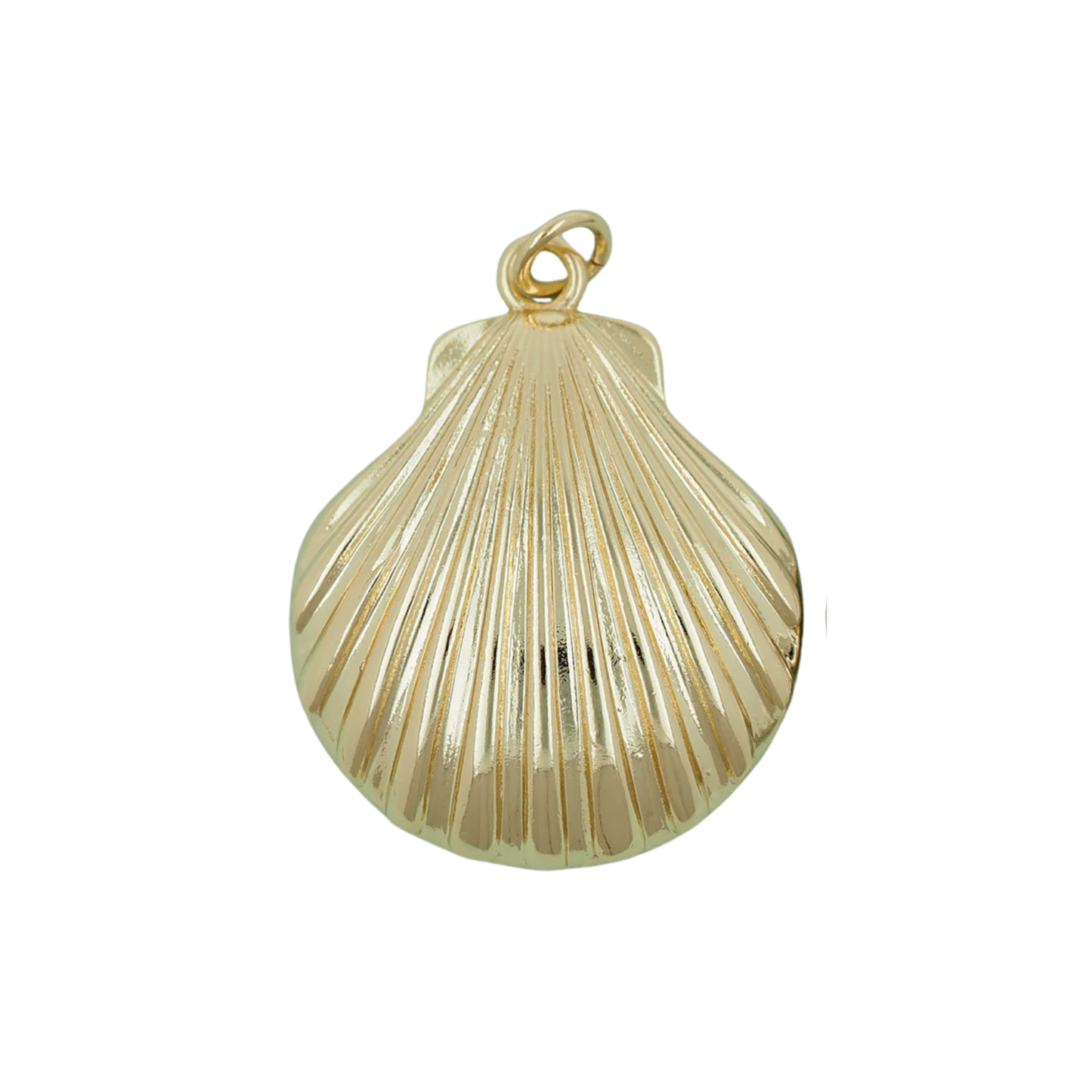 Large Shell