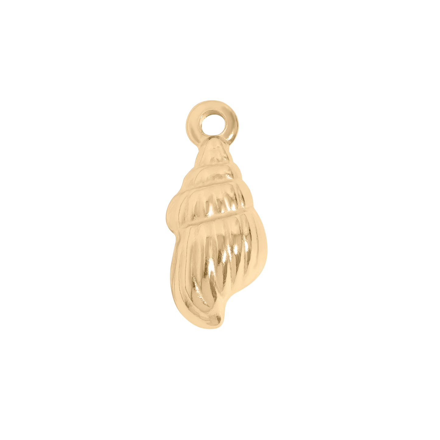 Shell Charm