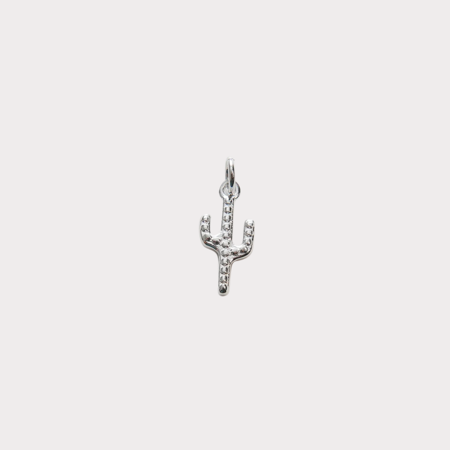 Cactus Charm