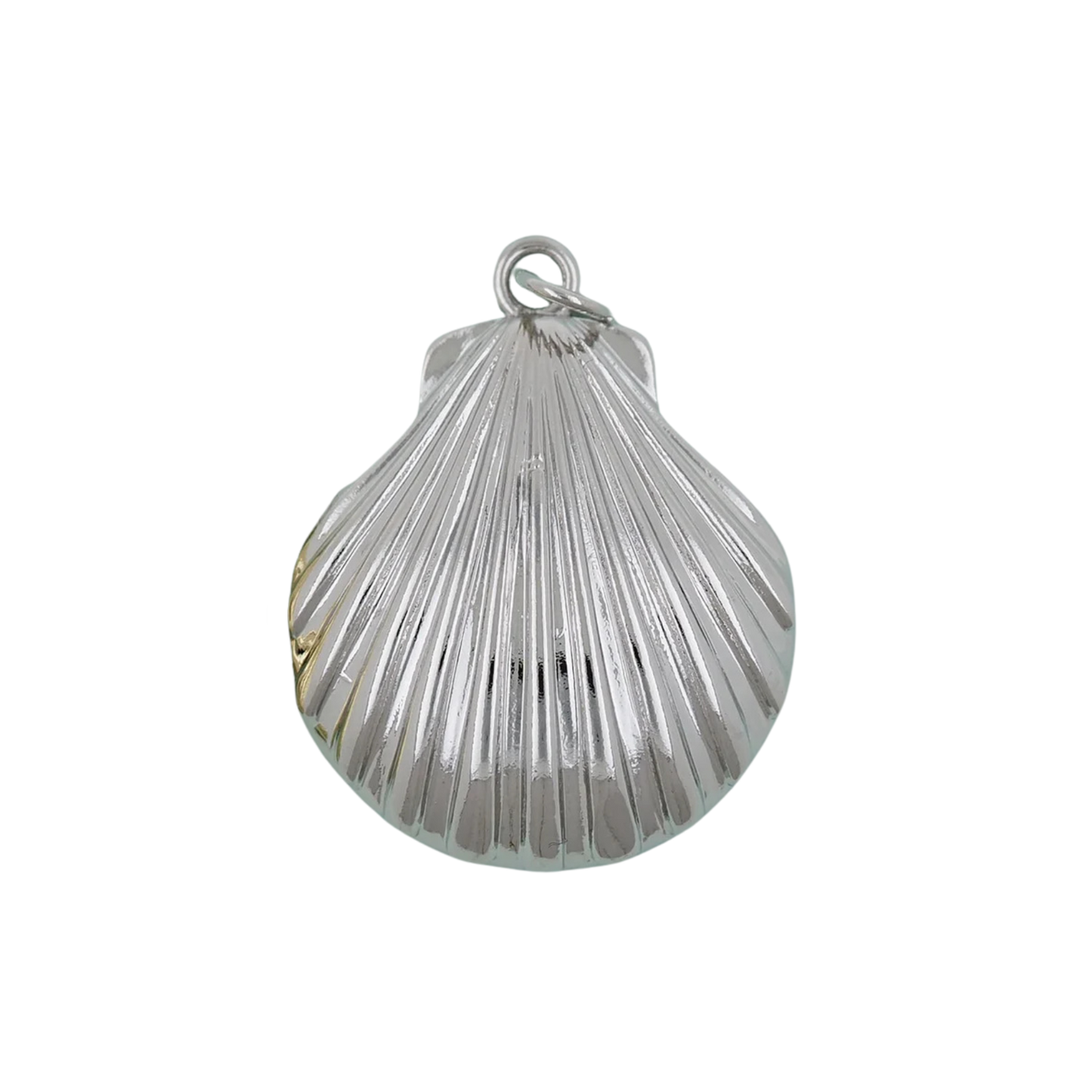 Large Shell