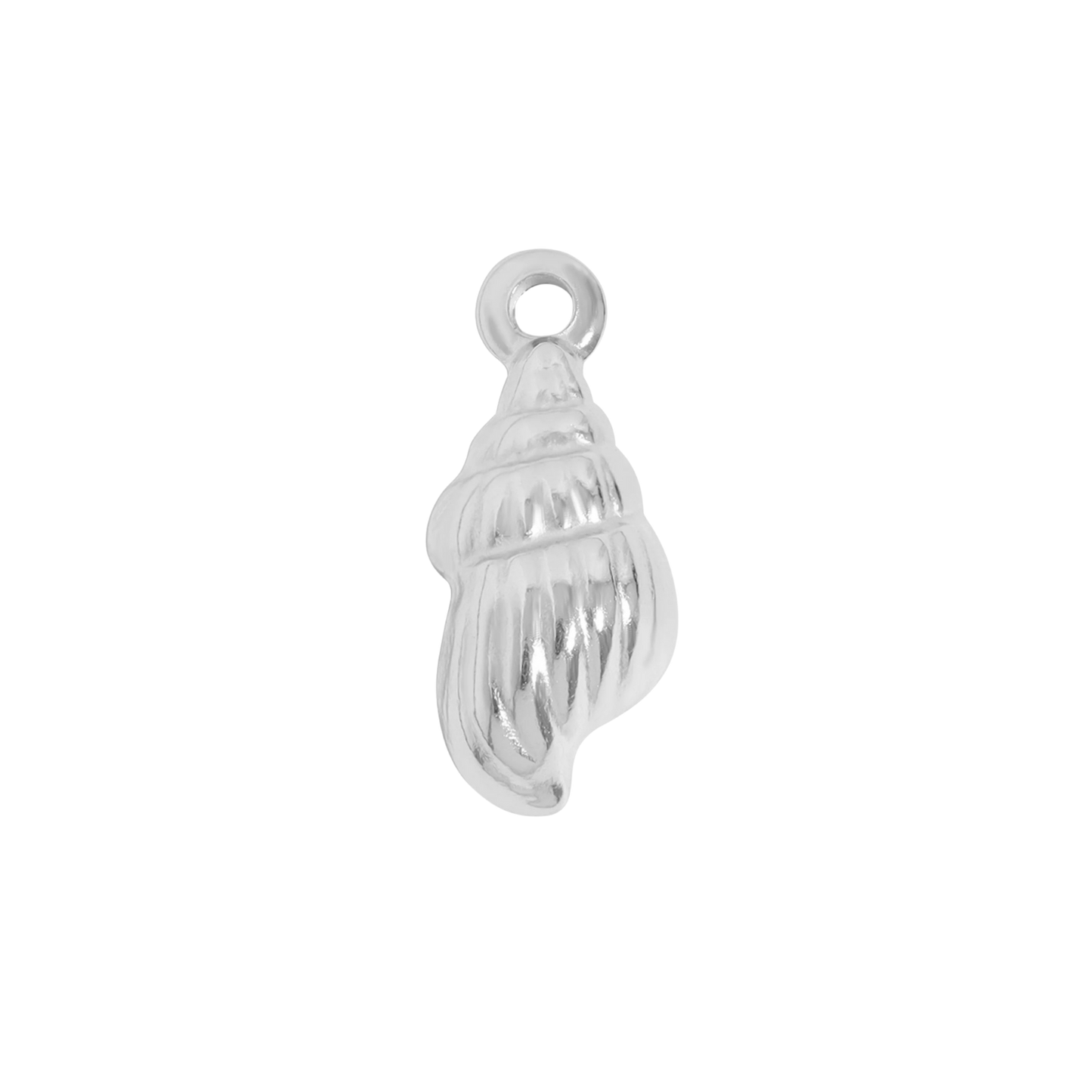 Shell Charm