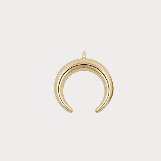 Horn Charm