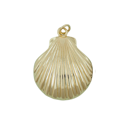 Large Shell