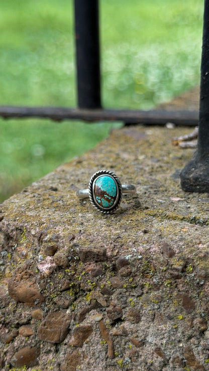 Size 6 Natural Turquoise Ring