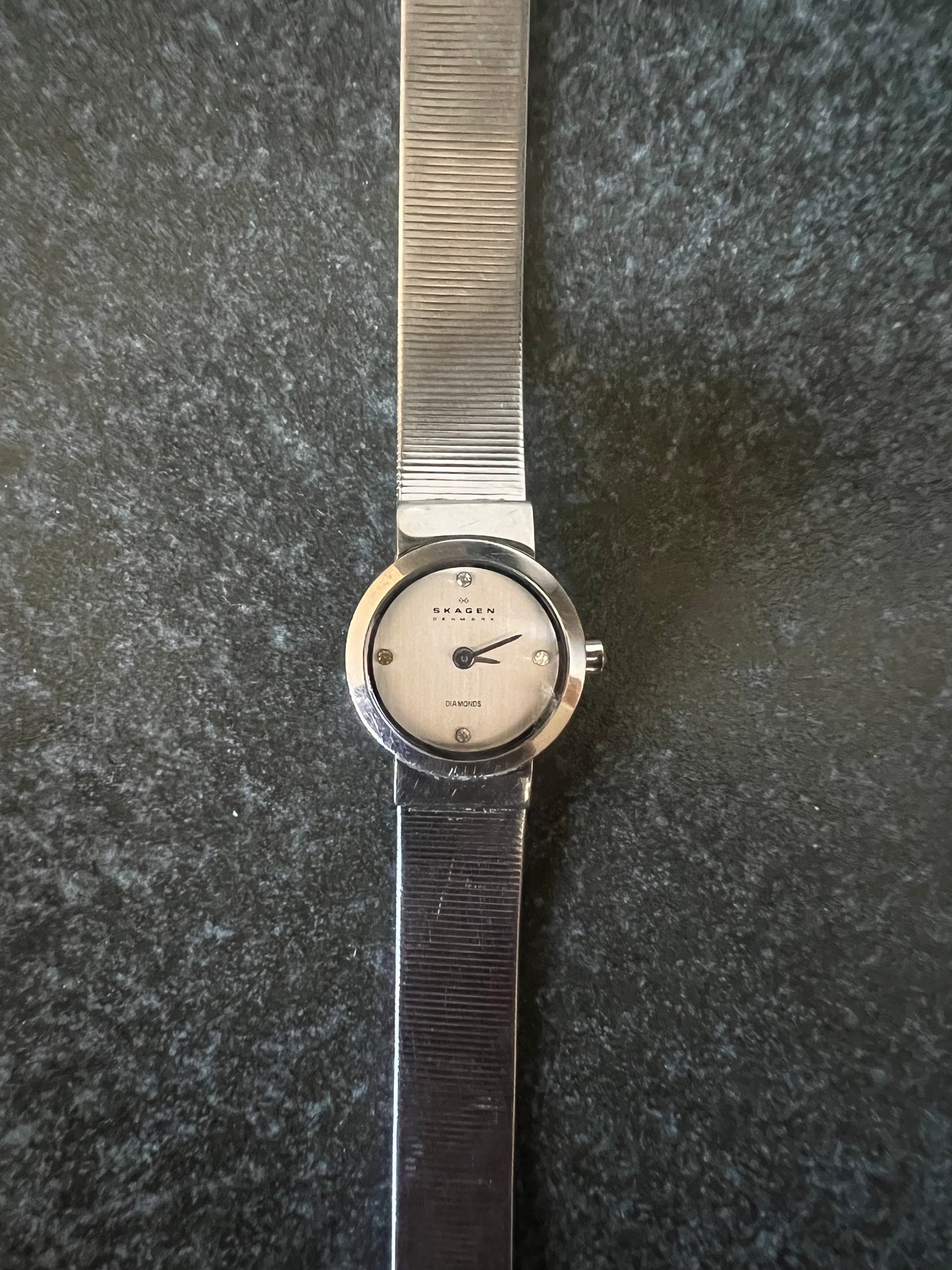 014 Skagen's Watch